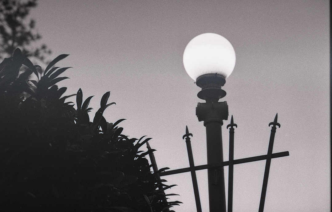 A glowing globe streetlamp behind ironwork and leaves
