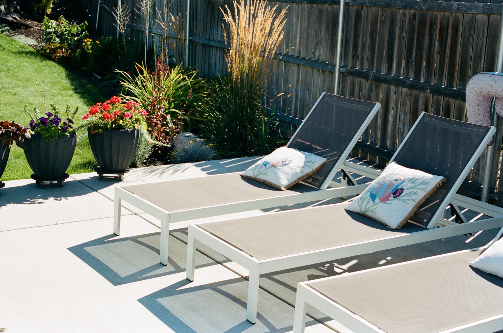 Poolside lounge chairs beside flowering planters